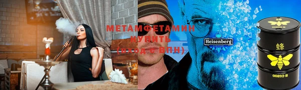мяу мяу мука Горно-Алтайск